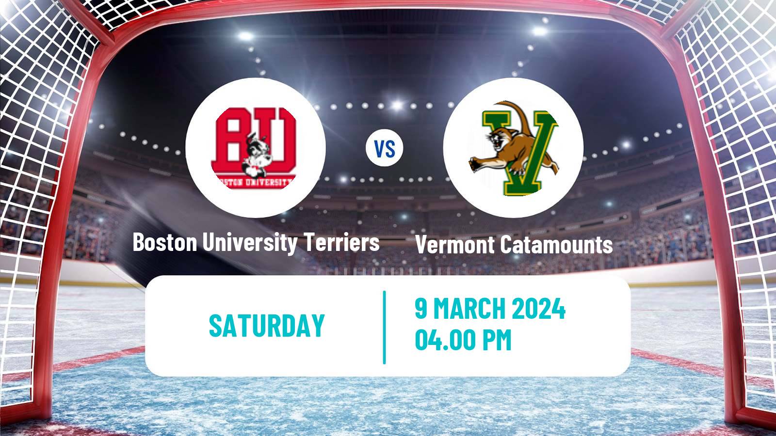 Hockey NCAA Hockey Boston University Terriers - Vermont Catamounts