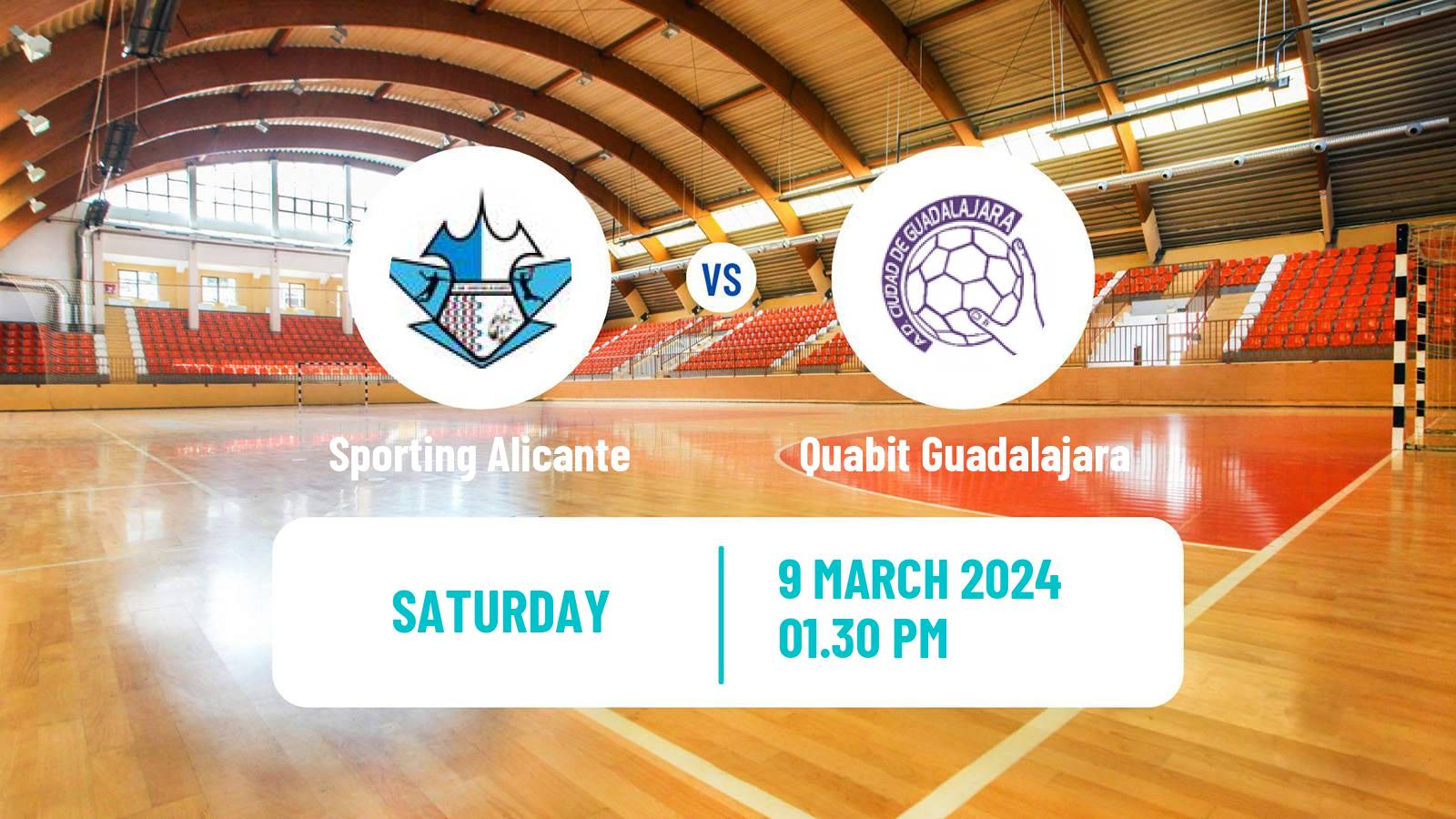 Handball Spanish Division de Honor Plata Handball Sporting Alicante - Quabit Guadalajara