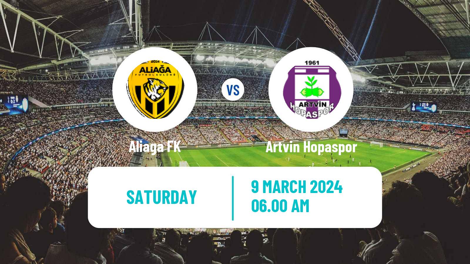 Soccer Turkish 3 Lig Group 1 Aliaga - Artvin Hopaspor