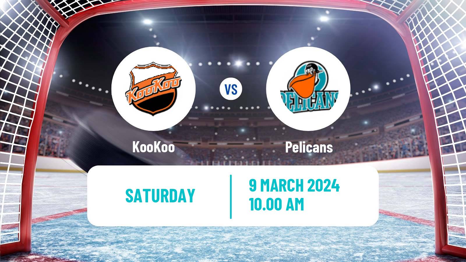 Hockey Finnish SM-liiga KooKoo - Pelicans