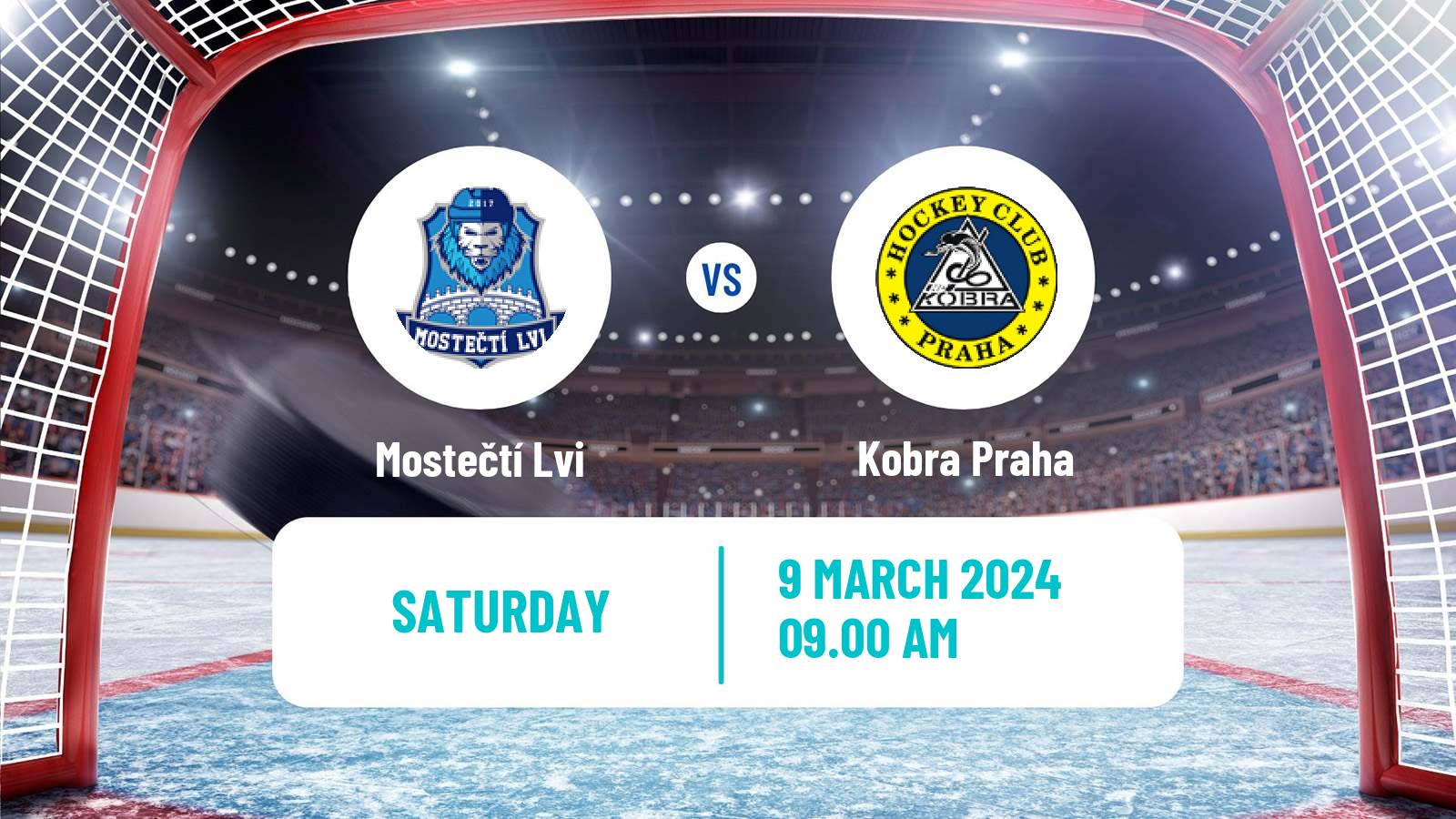 Hockey Czech 2 Liga Hockey East Mostečtí Lvi - Kobra Praha