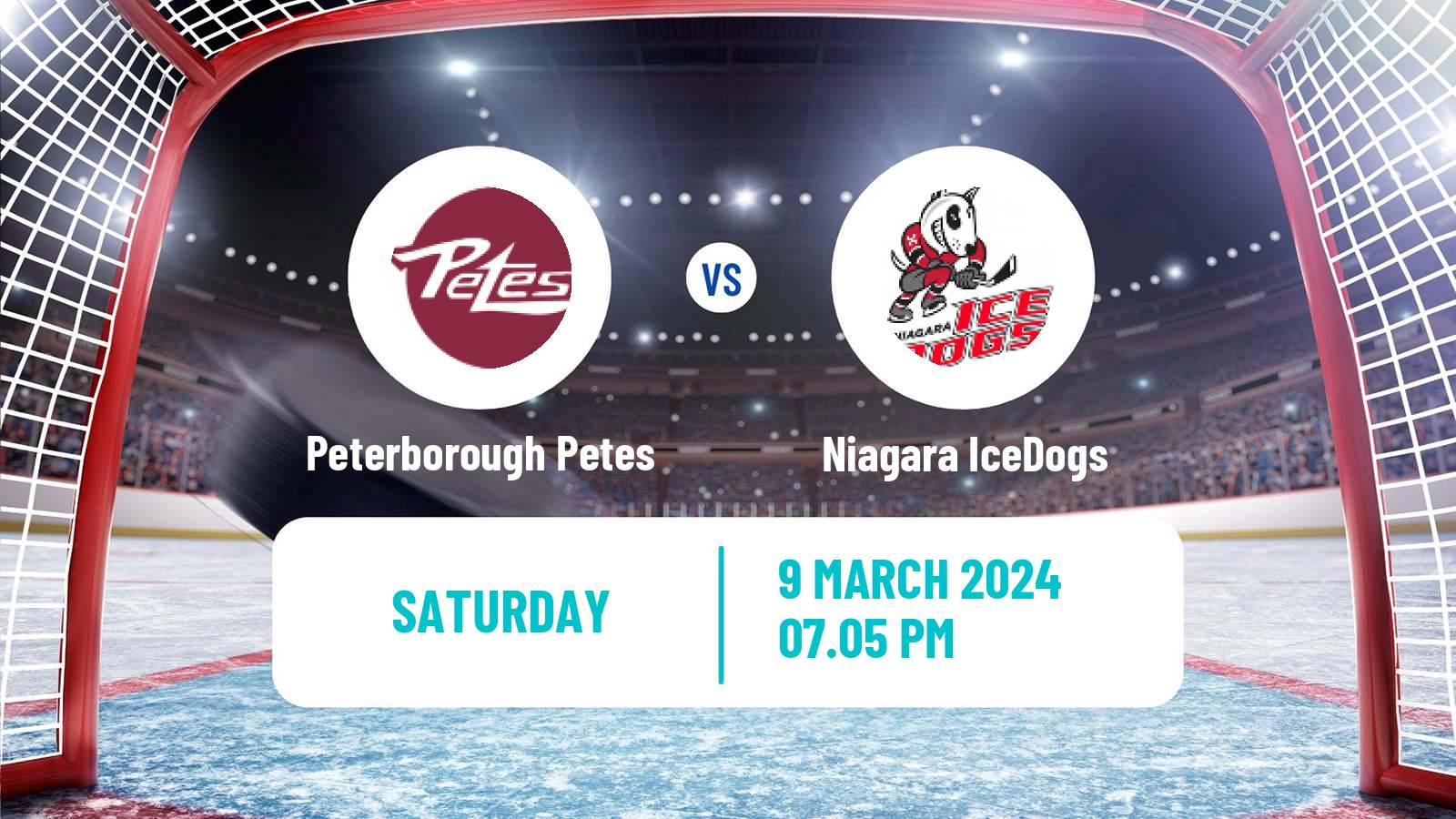 Hockey OHL Peterborough Petes - Niagara IceDogs