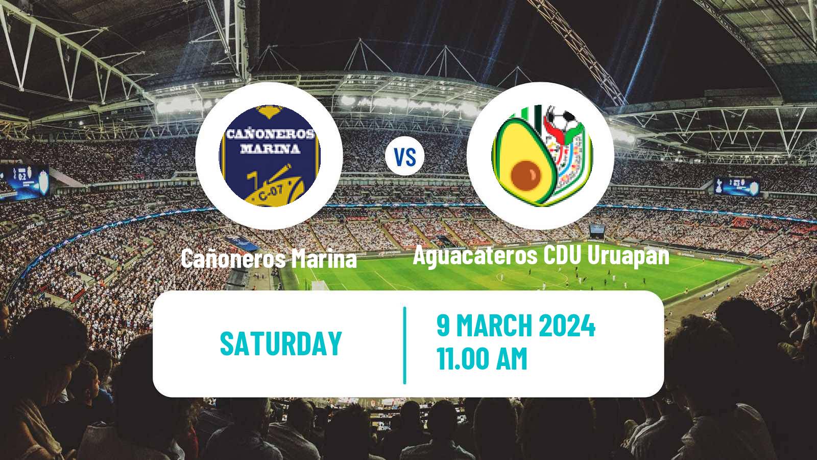 Soccer Mexican Liga Premier Serie B Cañoneros Marina - Aguacateros CDU Uruapan