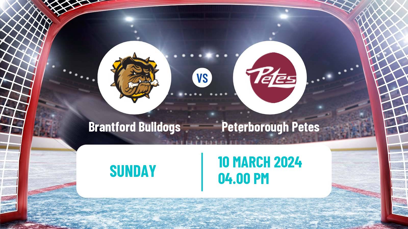 Hockey OHL Brantford Bulldogs - Peterborough Petes