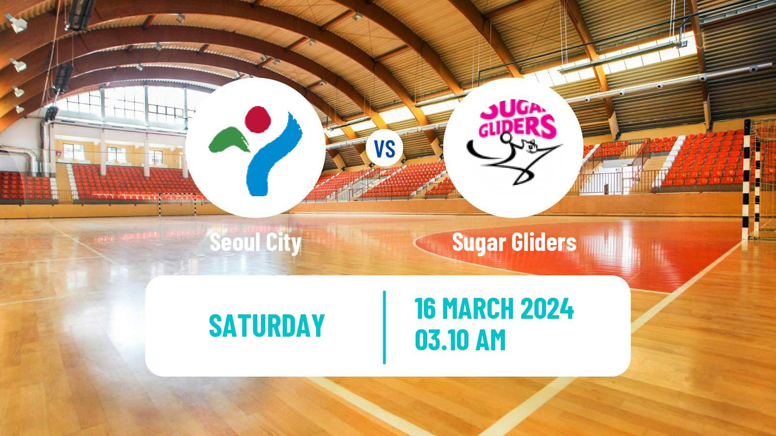 Handball South Korean 1st League Handball Women Seoul City - Sugar Gliders