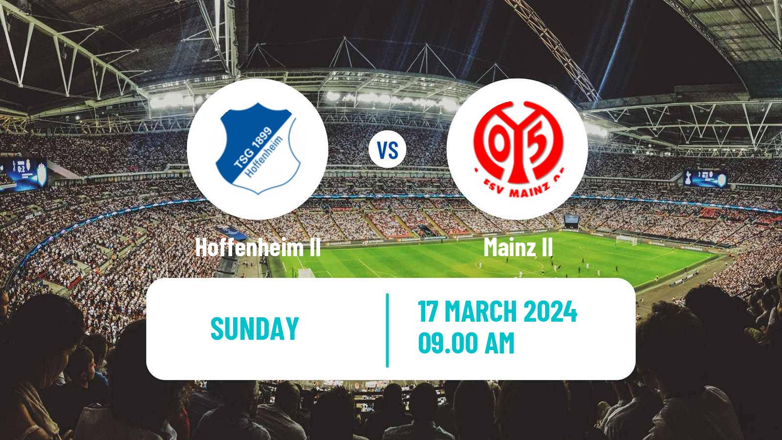 Soccer German Regionalliga Sudwest Hoffenheim II - Mainz II