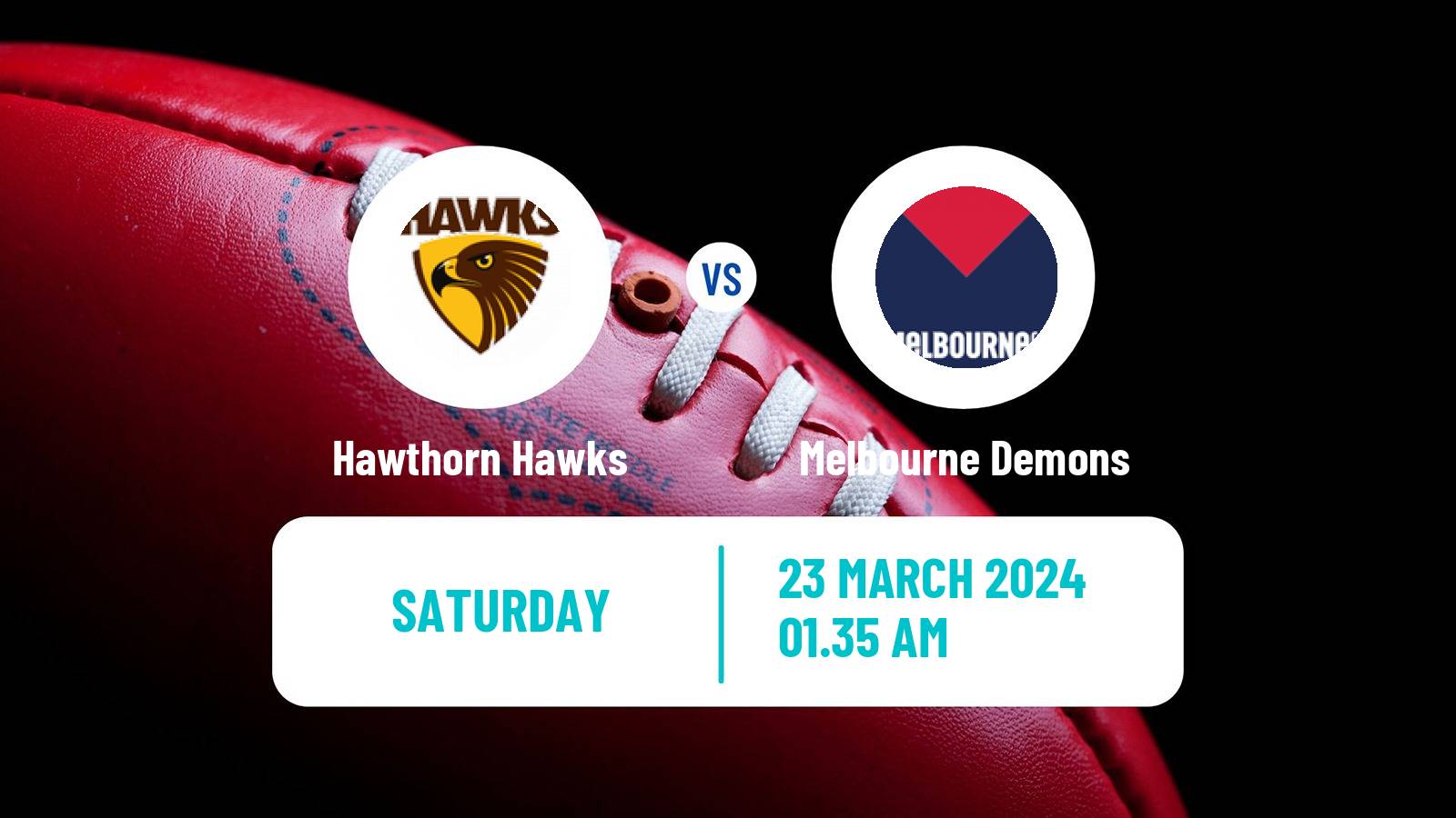 Aussie rules AFL Hawthorn Hawks - Melbourne Demons