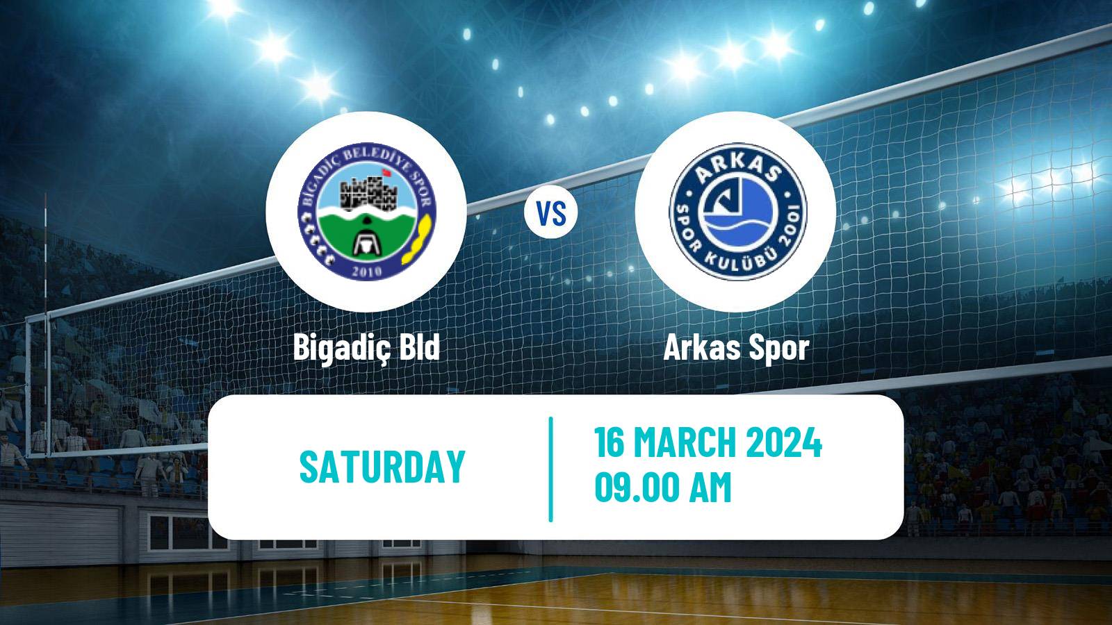 Volleyball Turkish Efeler Ligi Volleyball Bigadiç Bld - Arkas Spor