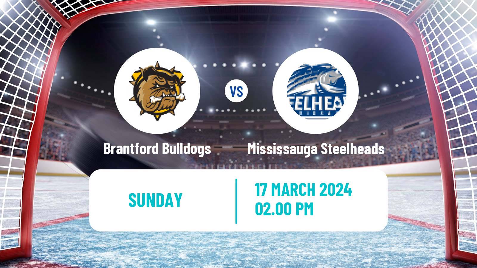 Hockey OHL Brantford Bulldogs - Mississauga Steelheads