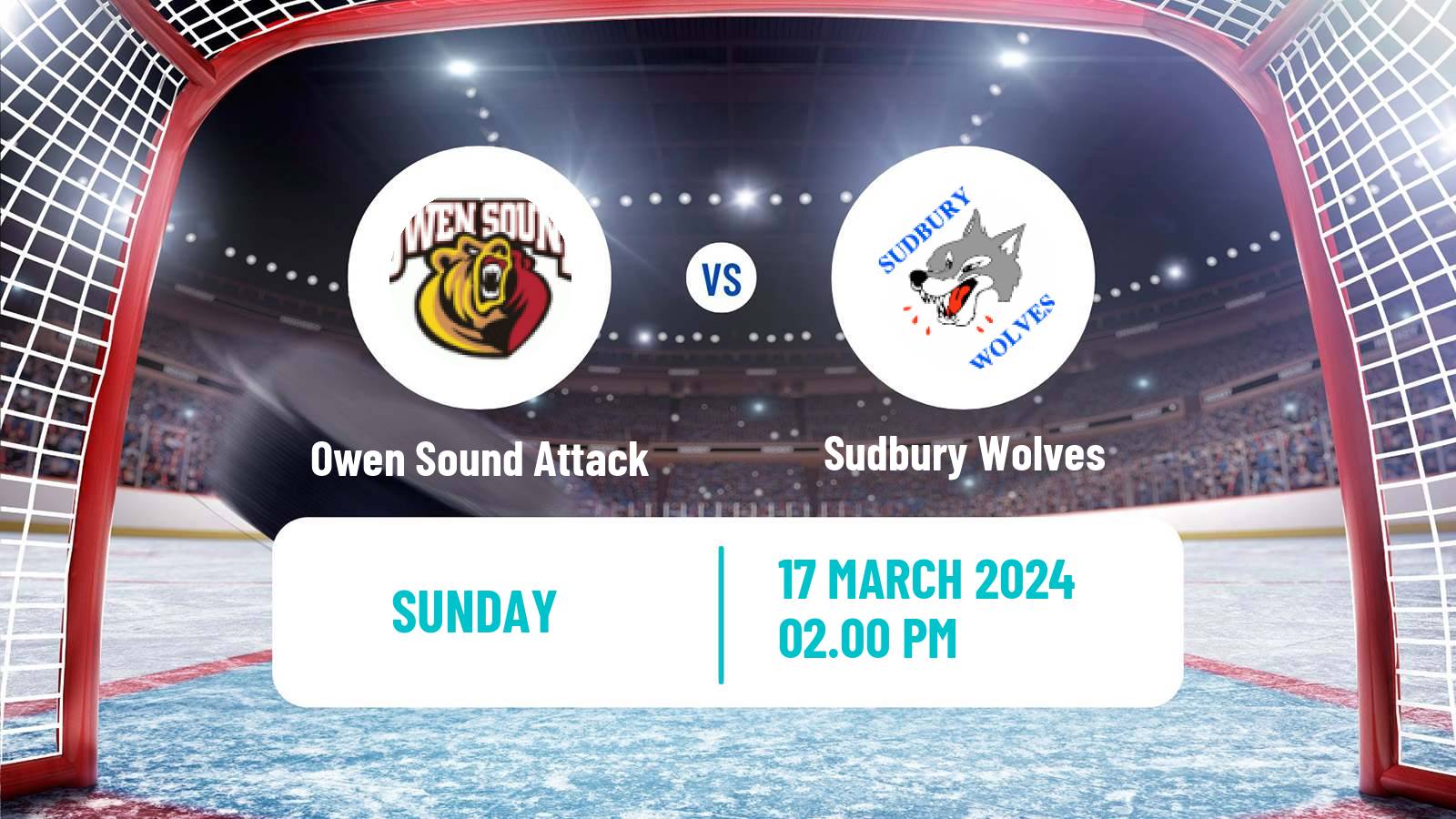Hockey OHL Owen Sound Attack - Sudbury Wolves