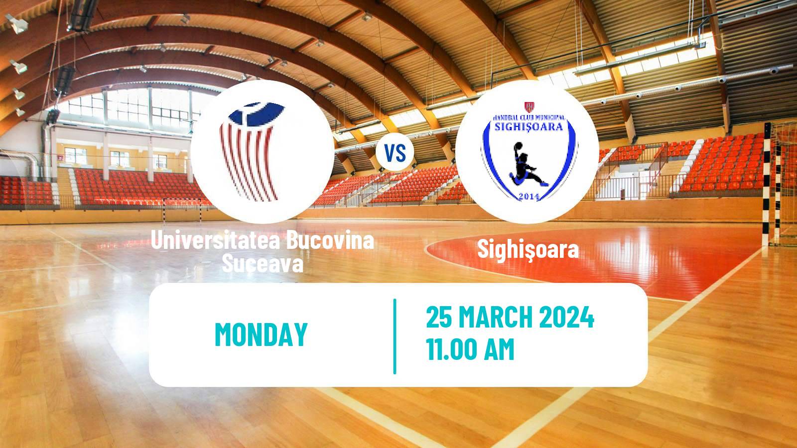 Handball Romanian Liga Nationala Handball Universitatea Bucovina Suceava - Sighişoara