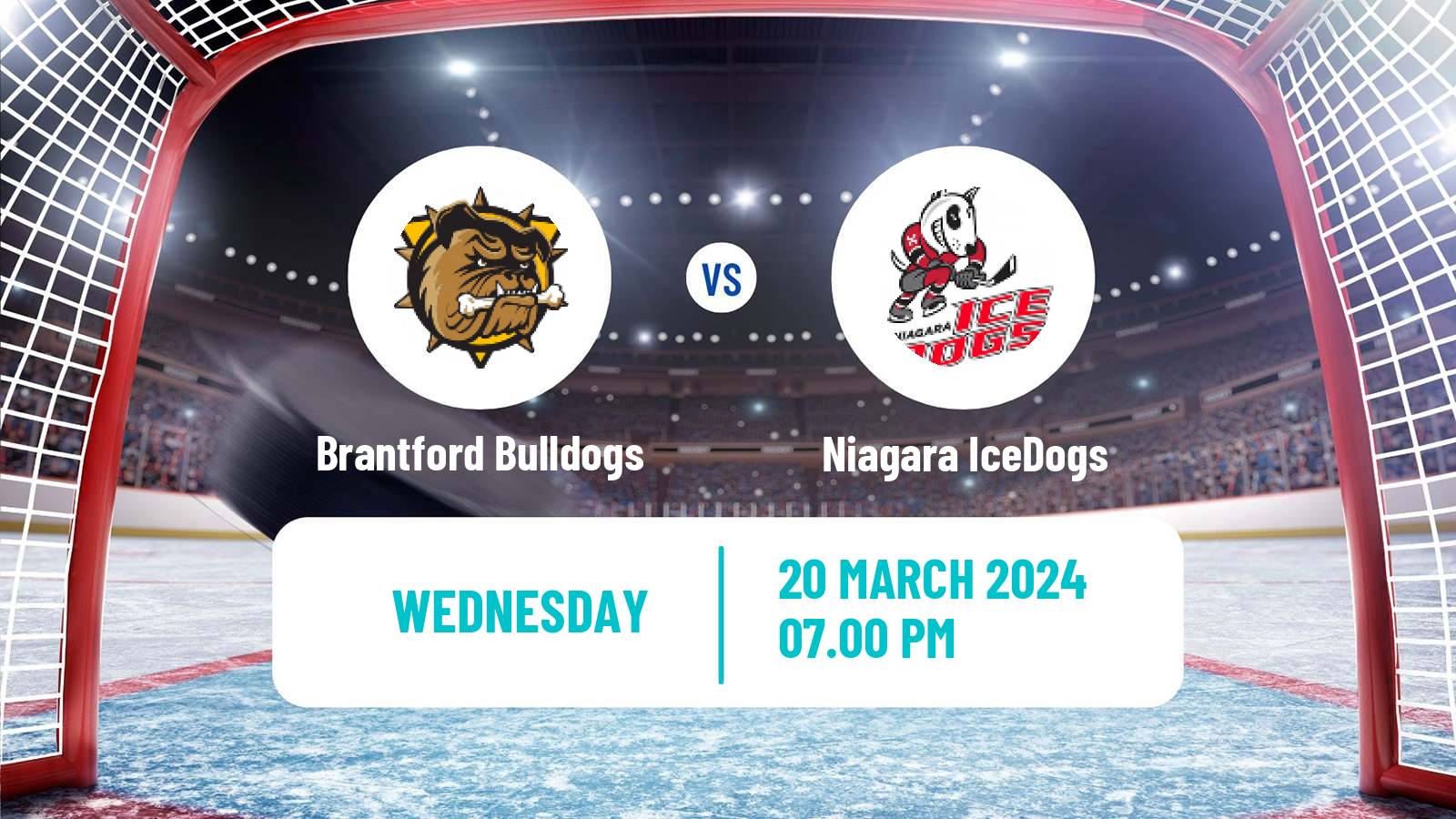 Hockey OHL Brantford Bulldogs - Niagara IceDogs