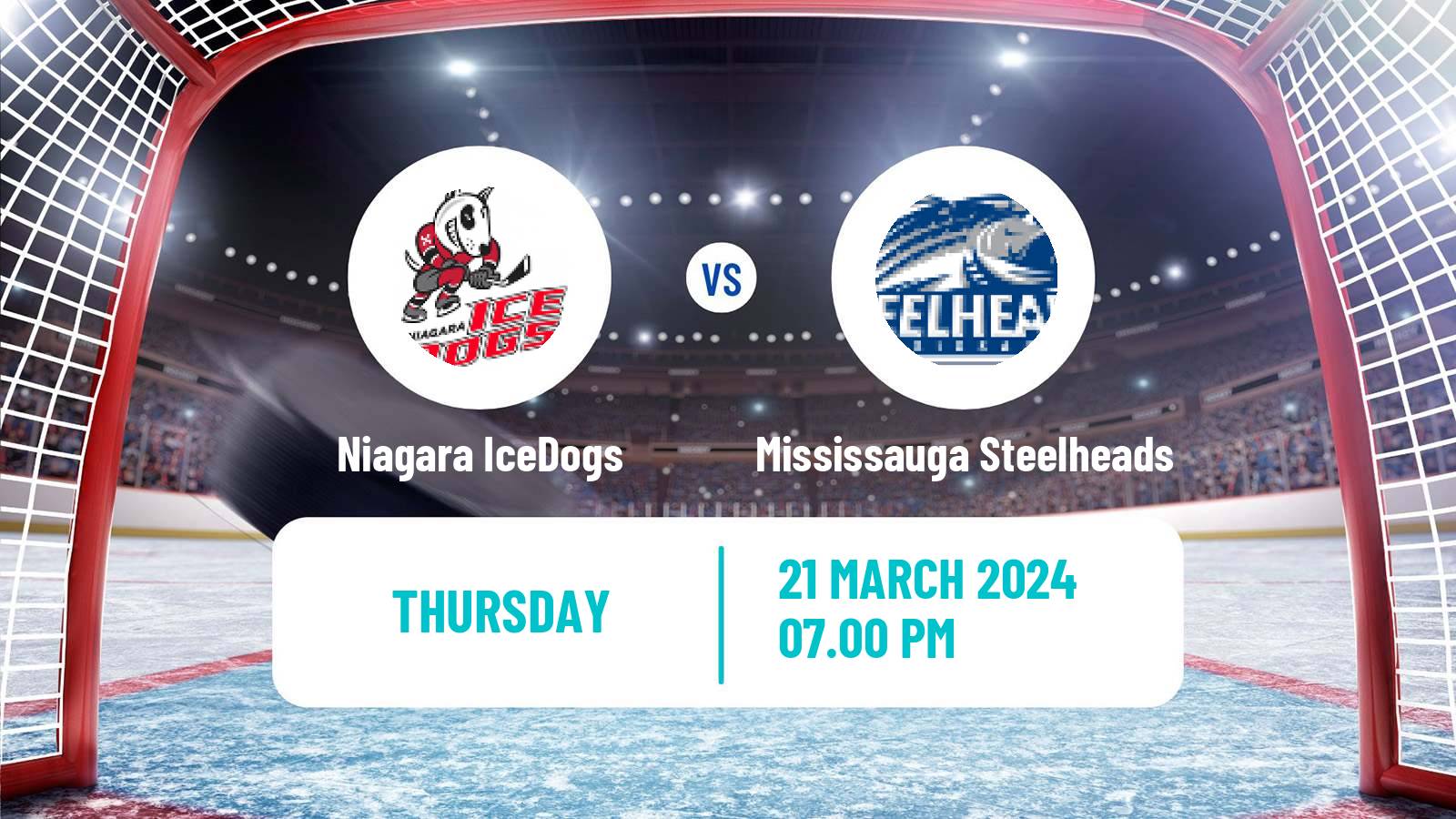 Hockey OHL Niagara IceDogs - Mississauga Steelheads