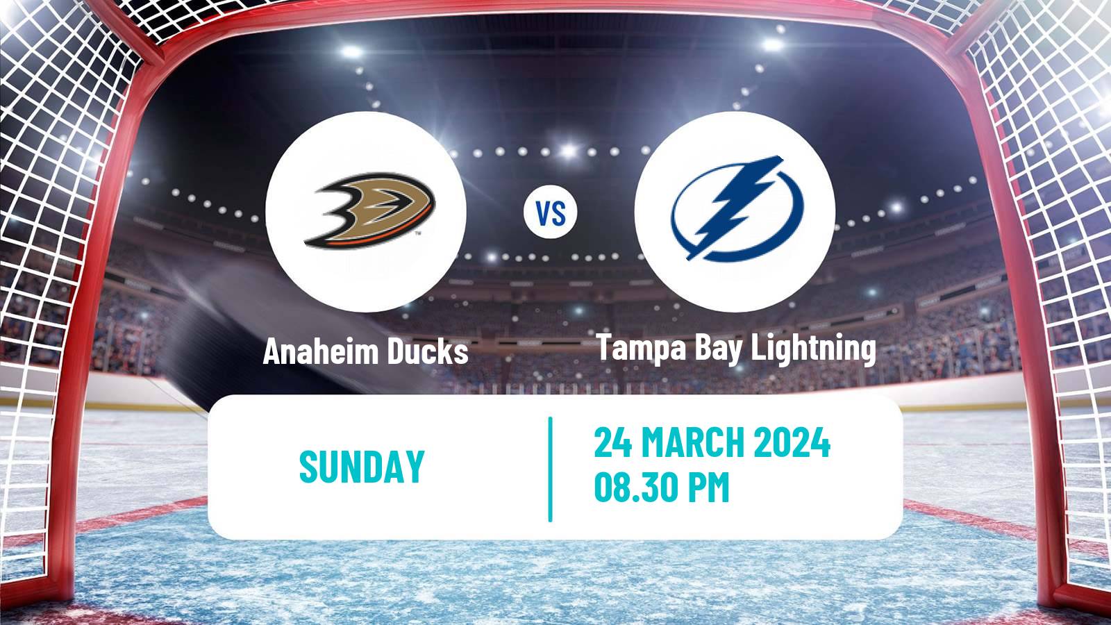 Hockey NHL Anaheim Ducks - Tampa Bay Lightning
