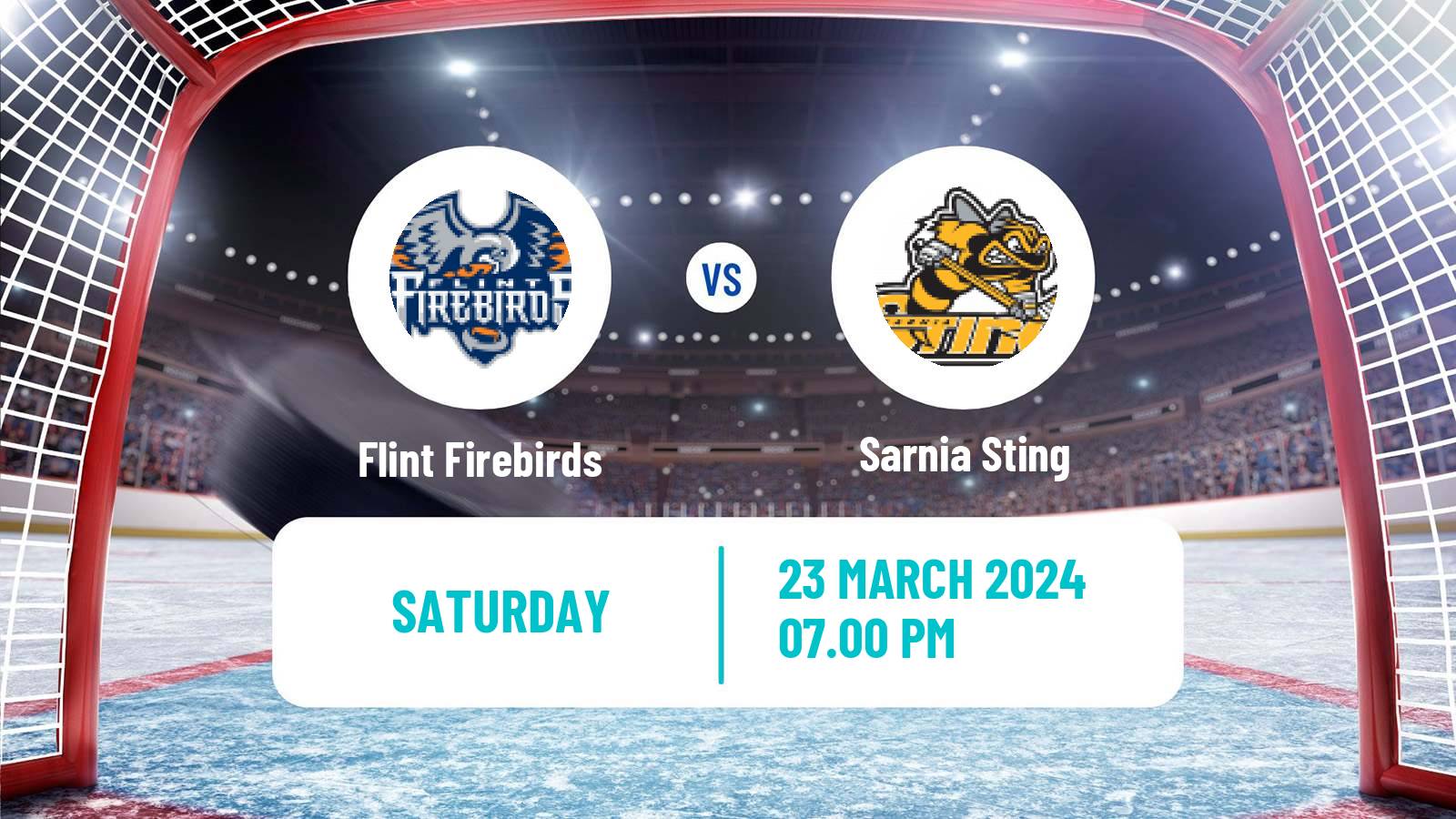 Hockey OHL Flint Firebirds - Sarnia Sting