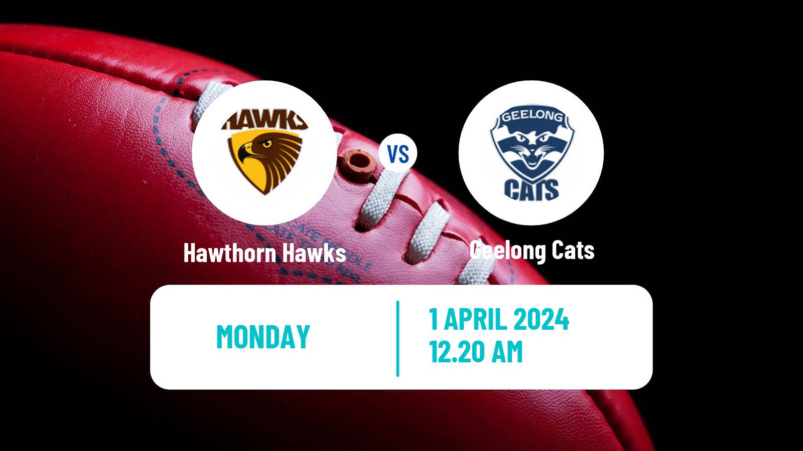 Aussie rules AFL Hawthorn Hawks - Geelong Cats