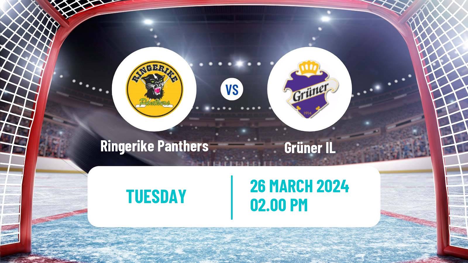 Hockey Norwegian Ligaen Hockey Ringerike Panthers - Grüner