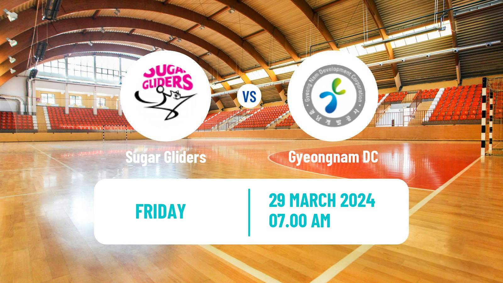 Handball South Korean 1st League Handball Women Sugar Gliders - Gyeongnam DC