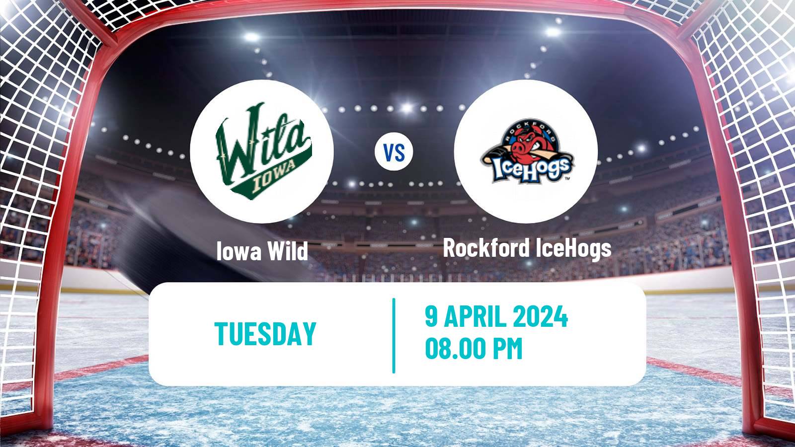 Hockey AHL Iowa Wild - Rockford IceHogs