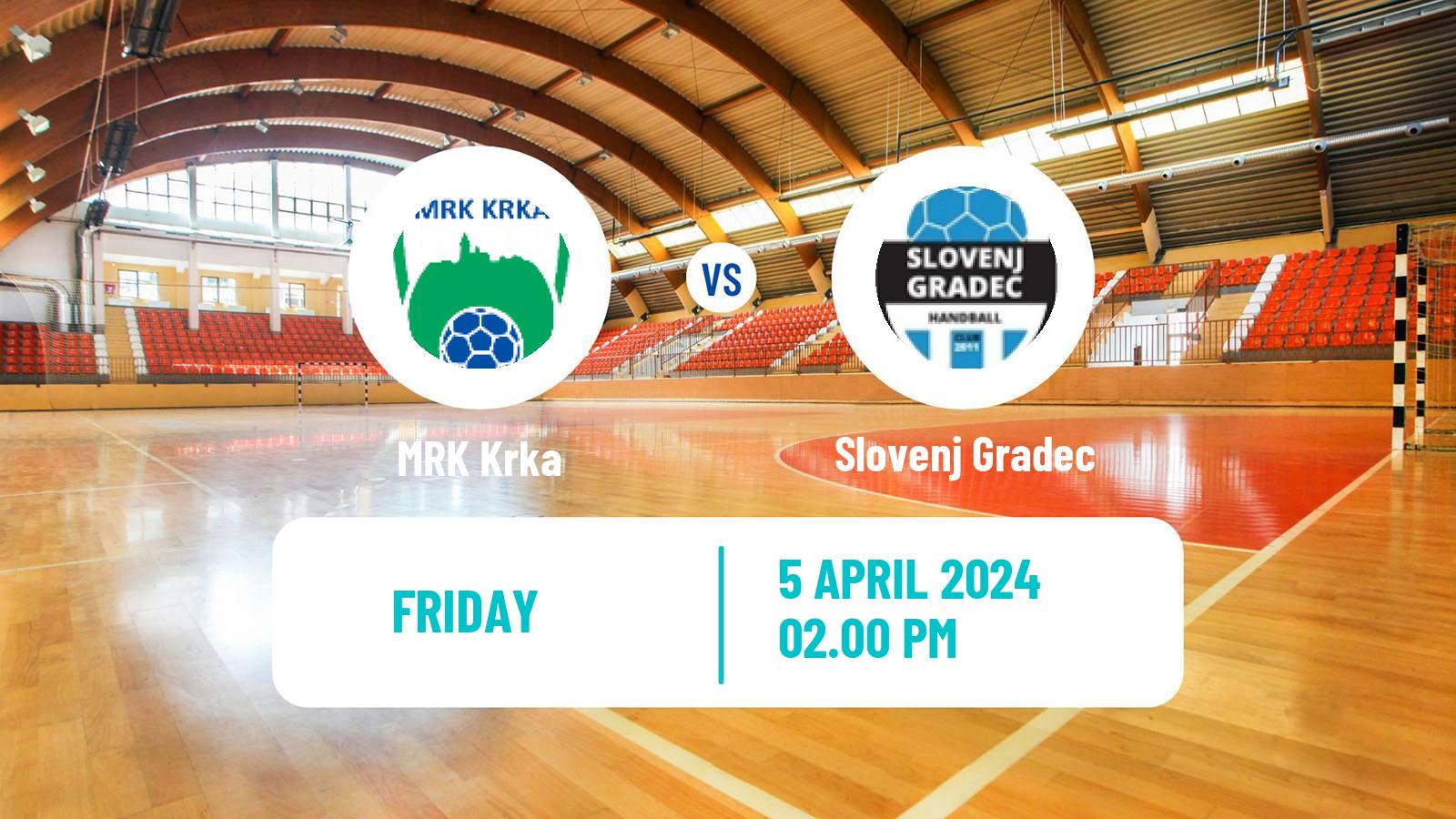 Handball Slovenian Cup Handball Krka - Slovenj Gradec