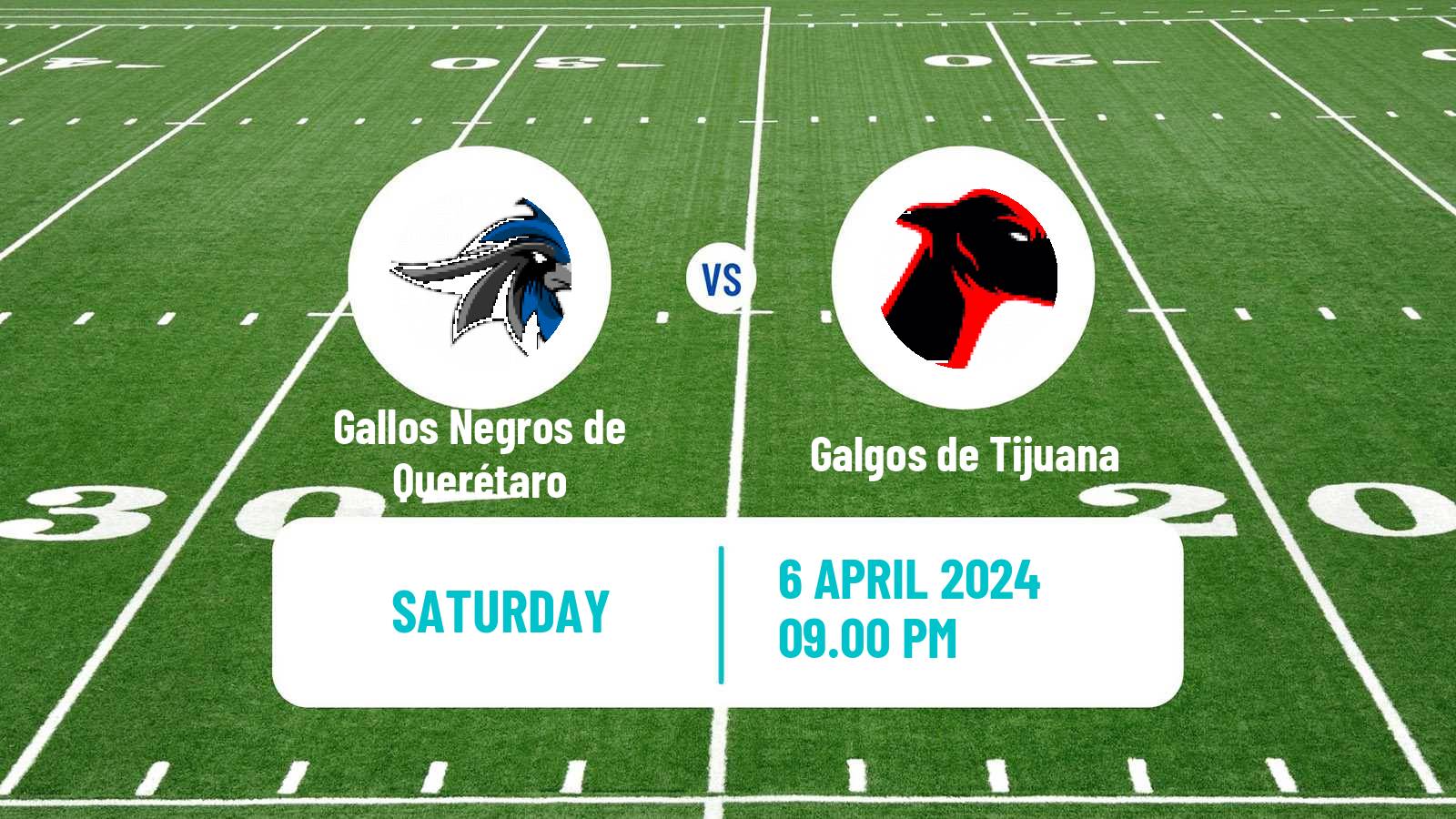 American football Mexican LFA Gallos Negros de Querétaro - Galgos de Tijuana