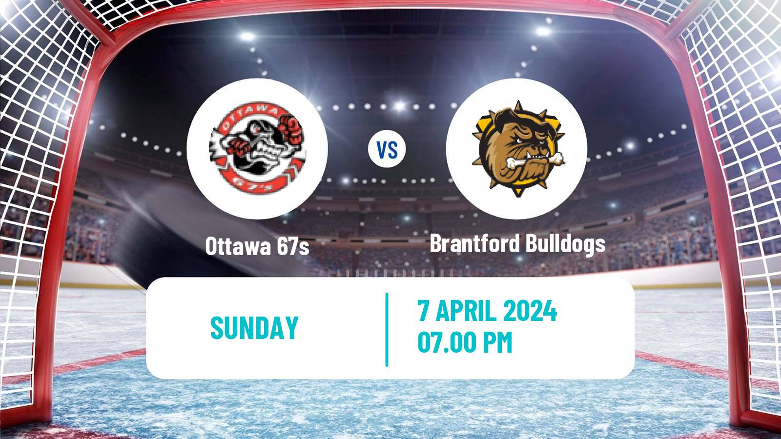 Hockey OHL Ottawa 67s - Brantford Bulldogs