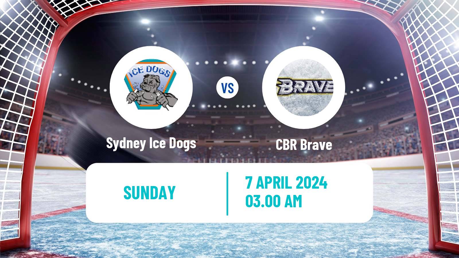 Hockey Australian Ice Hockey League Sydney Ice Dogs - CBR Brave