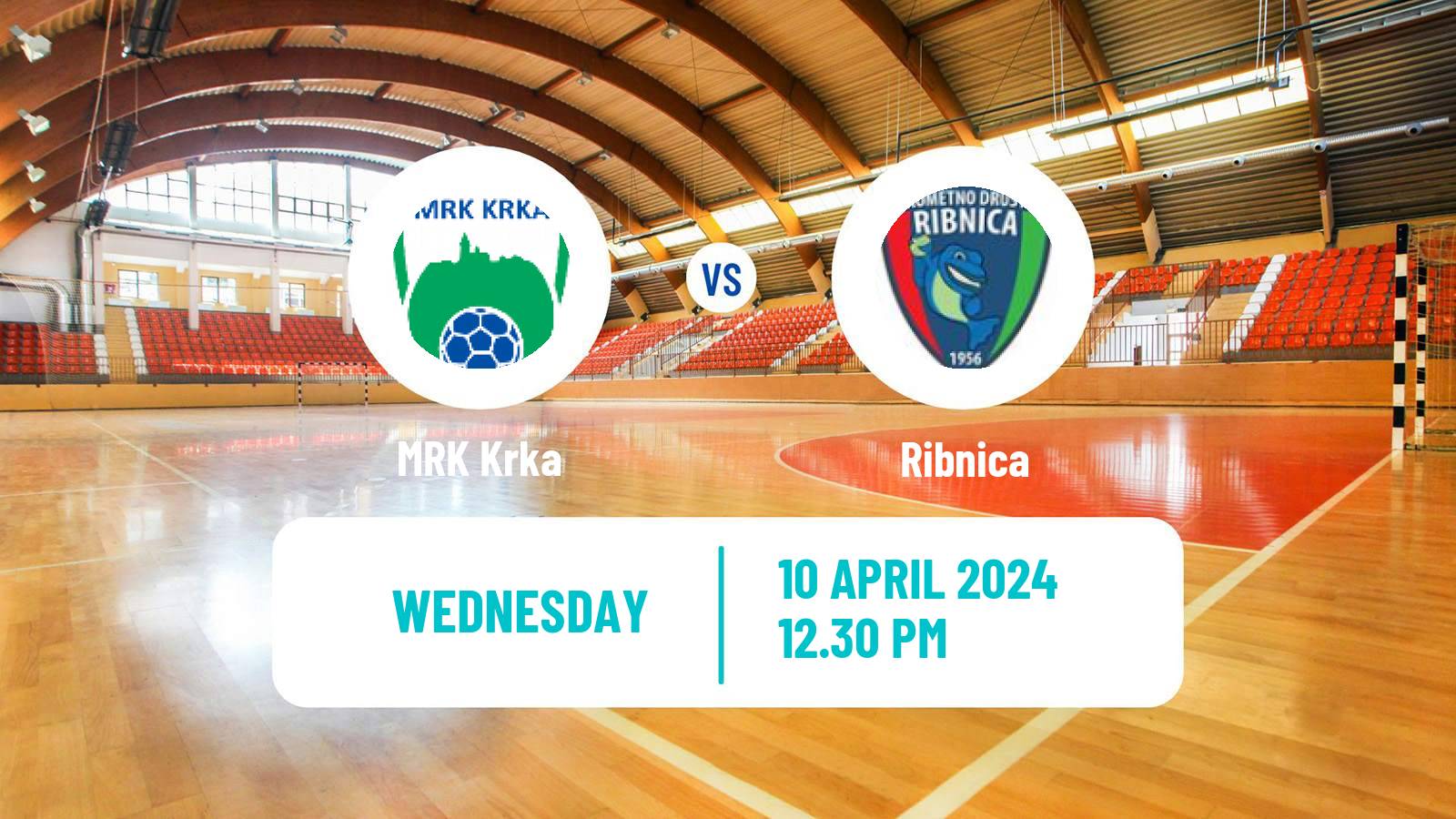 Handball Slovenian 1 NLB Liga Handball Krka - Ribnica