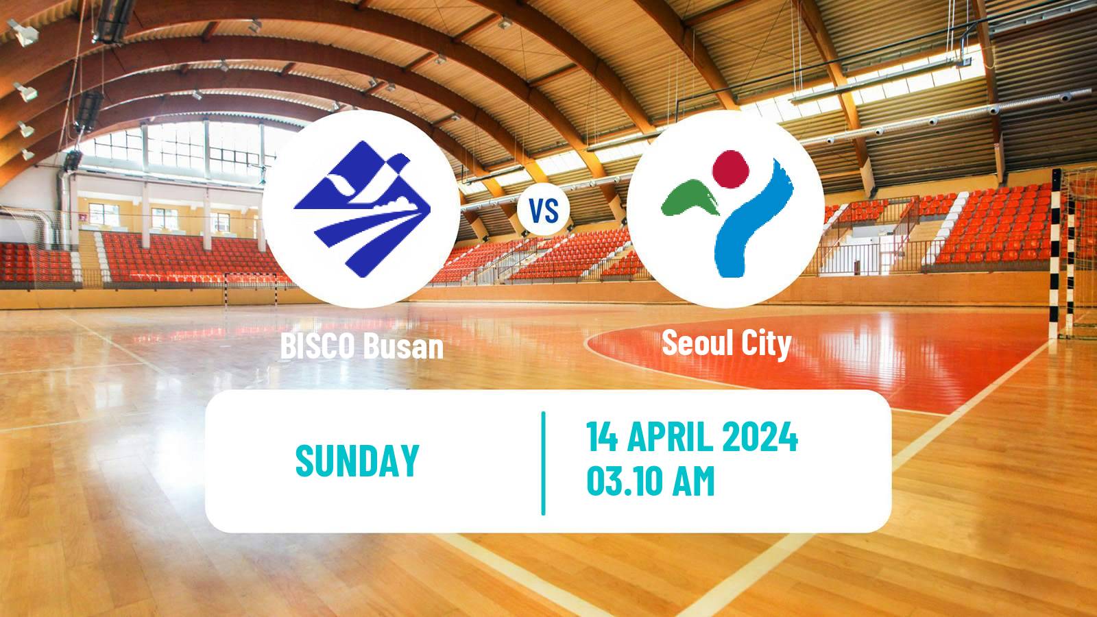 Handball South Korean 1st League Handball Women BISCO Busan - Seoul City