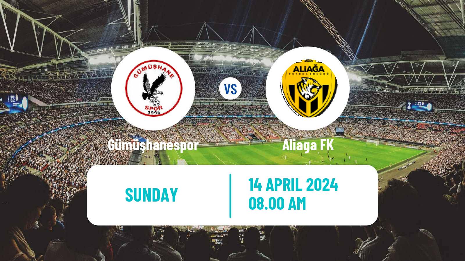 Soccer Turkish 3 Lig Group 1 Gümüşhanespor - Aliaga