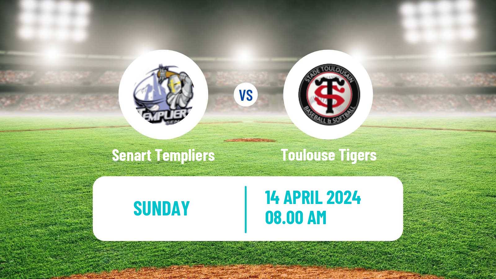 Baseball French Division 1 Baseball Senart Templiers - Toulouse Tigers