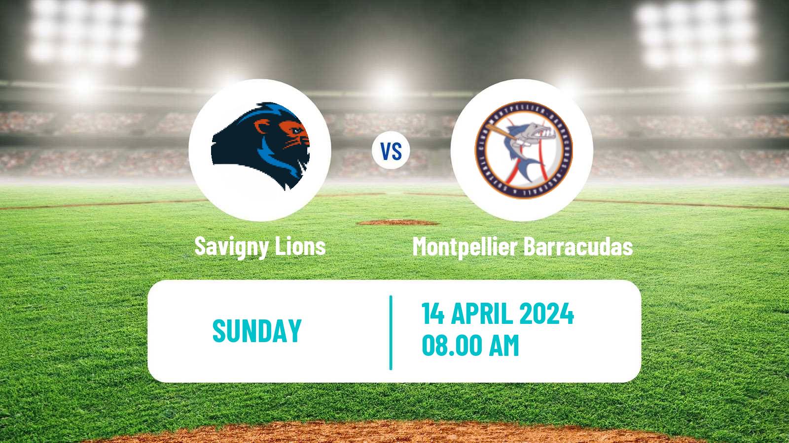 Baseball French Division 1 Baseball Savigny Lions - Montpellier Barracudas