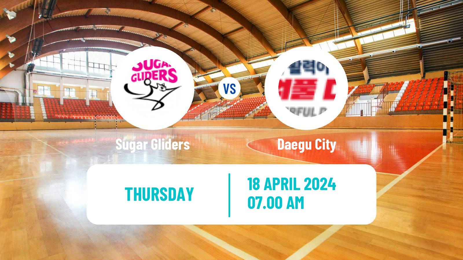 Handball South Korean 1st League Handball Women Sugar Gliders - Daegu City