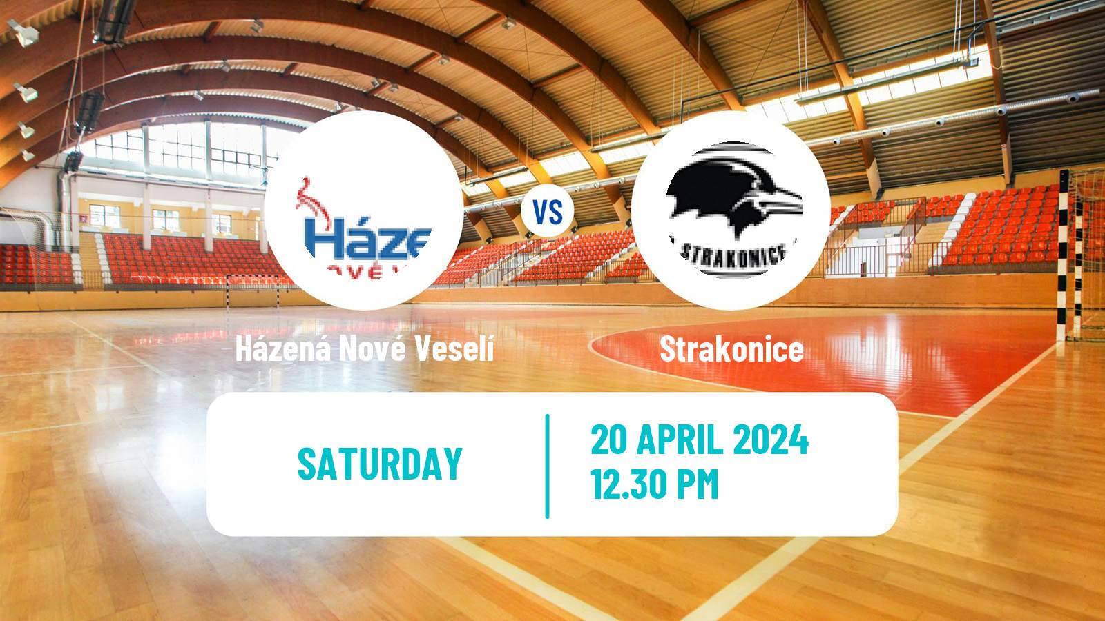 Handball Czech Extraliga Handball Házená Nové Veselí - Strakonice