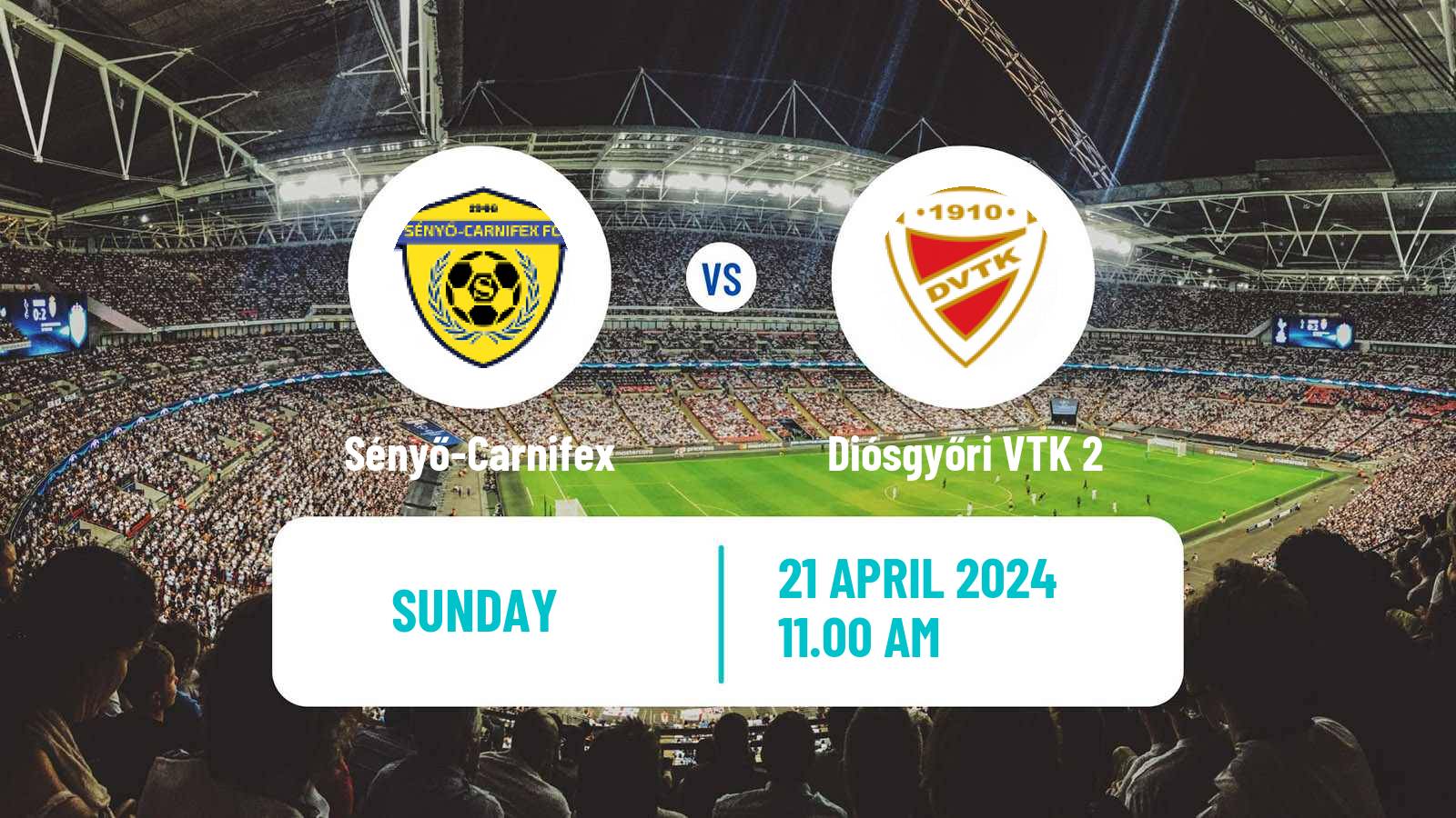 Soccer Hungarian NB III Northeast Sényő-Carnifex - Diósgyőri VTK 2