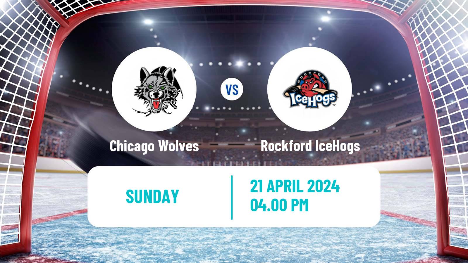 Hockey AHL Chicago Wolves - Rockford IceHogs