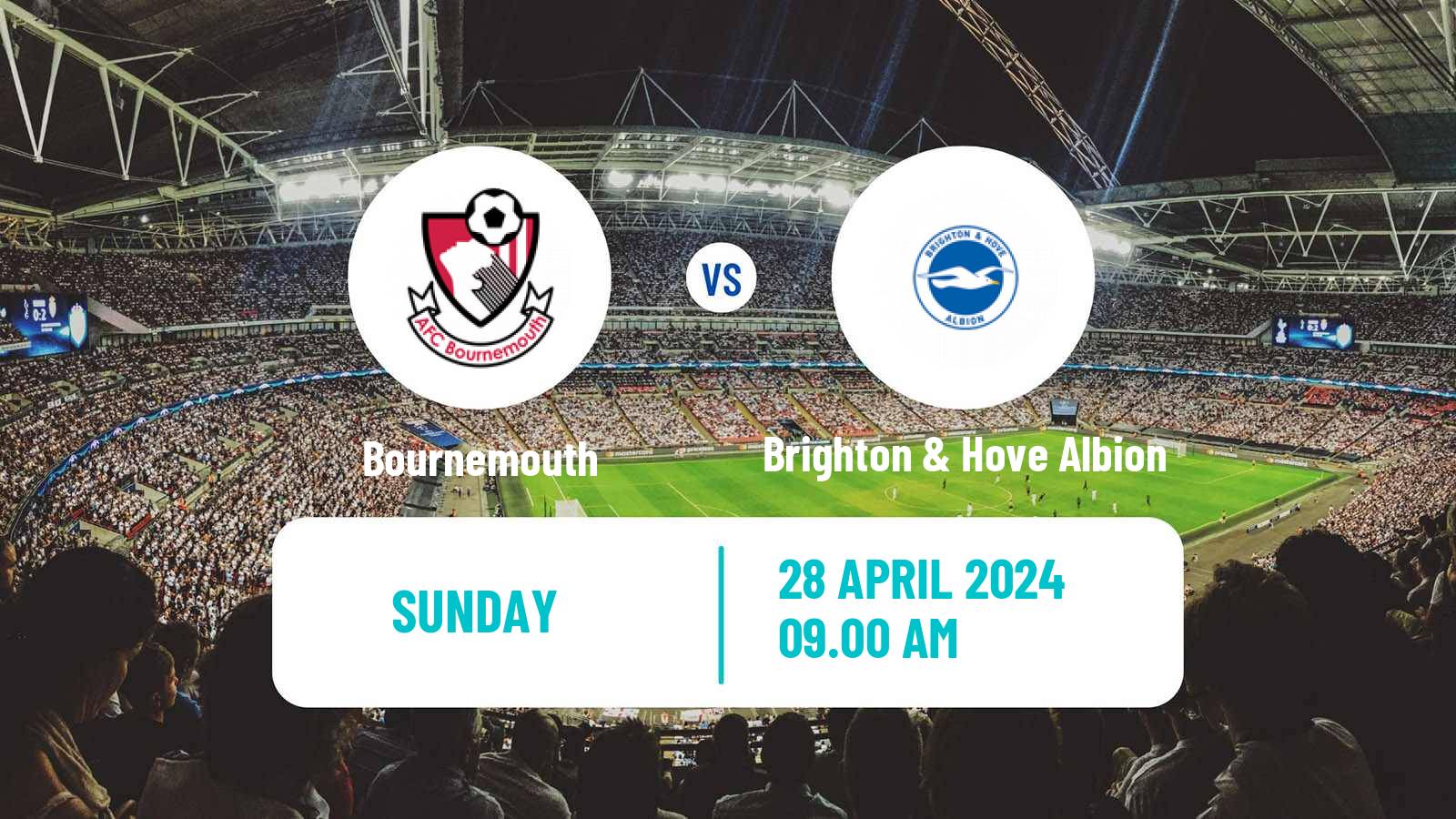 Soccer English Premier League Bournemouth - Brighton & Hove Albion