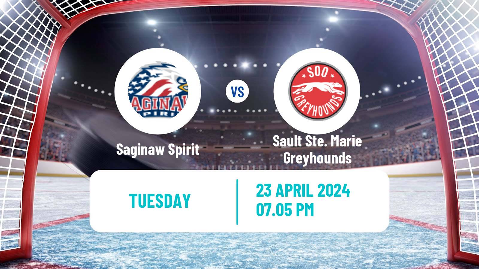 Hockey OHL Saginaw Spirit - Sault Ste. Marie Greyhounds