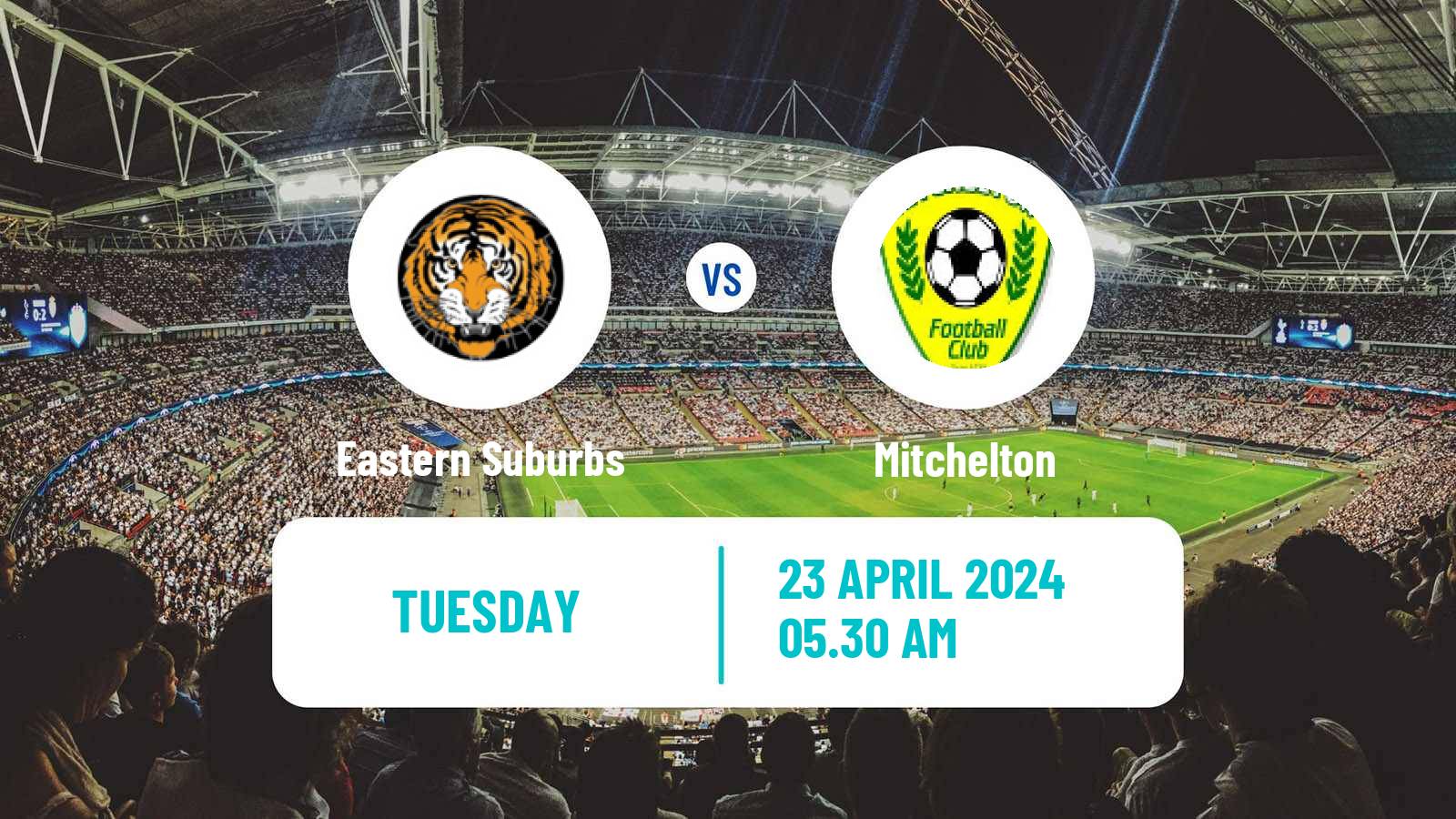 Soccer Australian Queensland Premier League Eastern Suburbs - Mitchelton