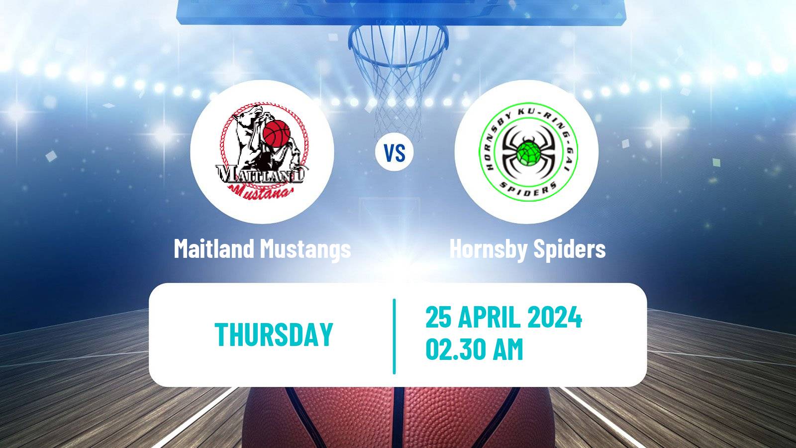Basketball Australian NBL1 East Maitland Mustangs - Hornsby Spiders