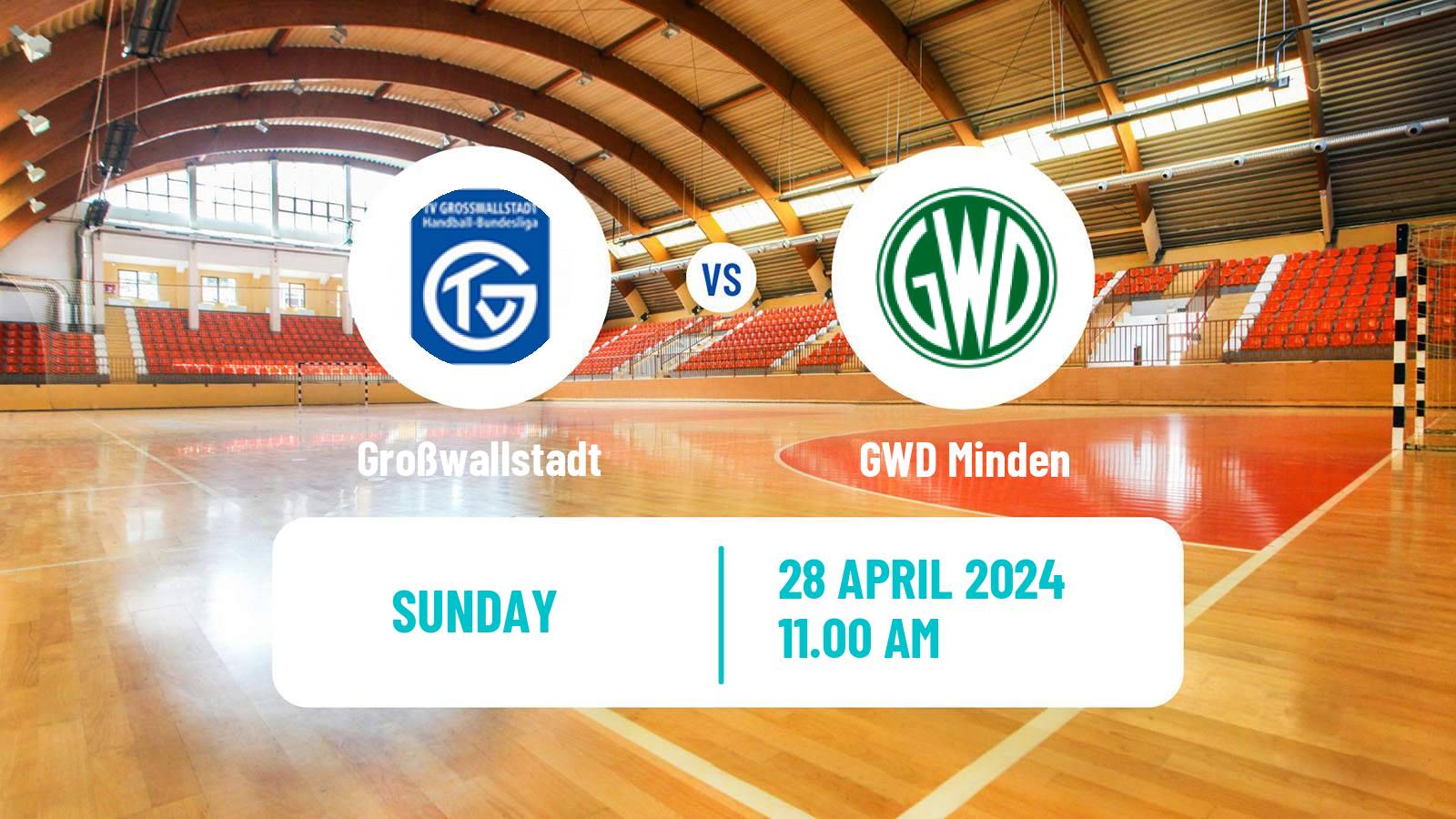 Handball German 2 Bundesliga Handball Großwallstadt - GWD Minden