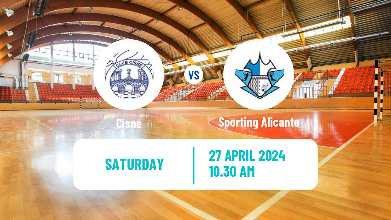 Handball Spanish Division de Honor Plata Handball Cisne - Sporting Alicante