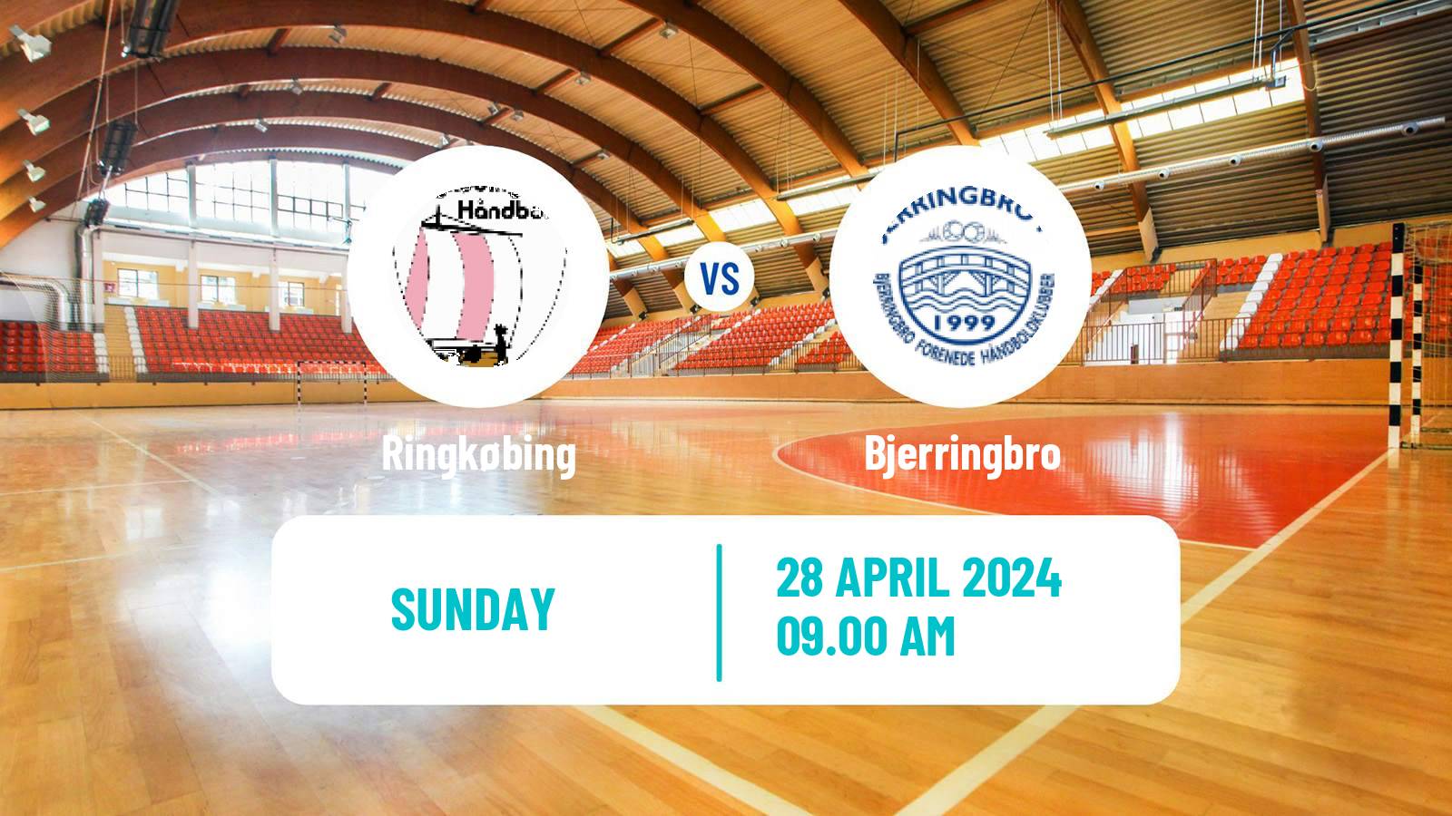 Handball Danish Handbold Ligaen Women Ringkøbing - Bjerringbro