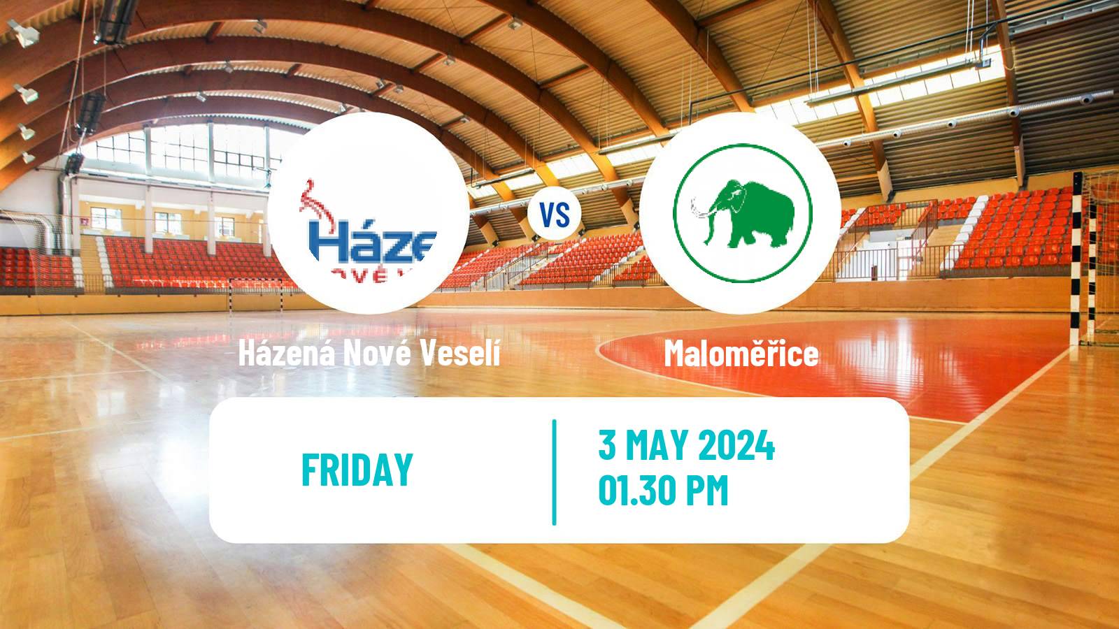 Handball Czech Extraliga Handball Házená Nové Veselí - Maloměřice