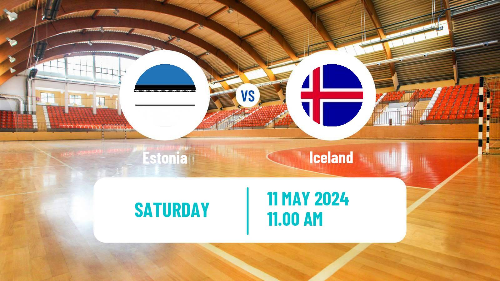 Handball Handball World Championship Estonia - Iceland