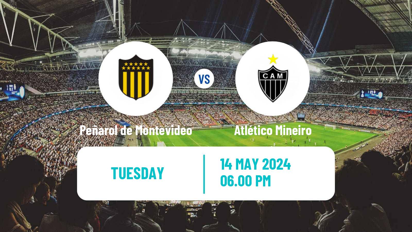 Soccer Copa Libertadores Peñarol de Montevideo - Atlético Mineiro