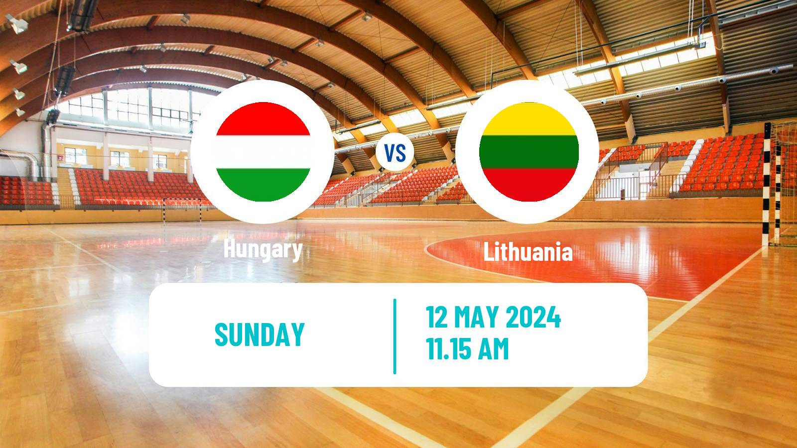 Handball Handball World Championship Hungary - Lithuania