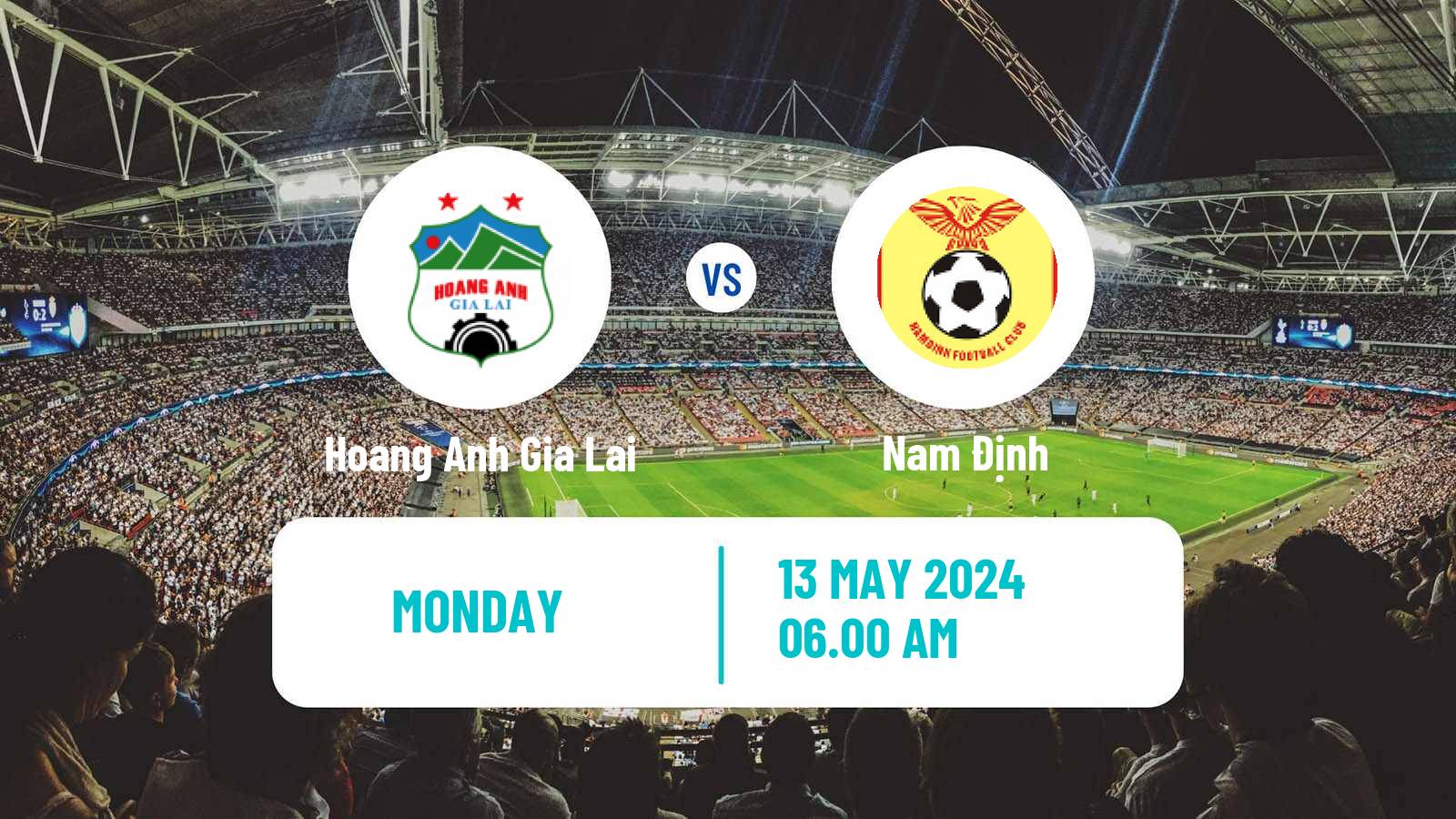 Soccer Vietnamese V League 1 Hoang Anh Gia Lai - Nam Định