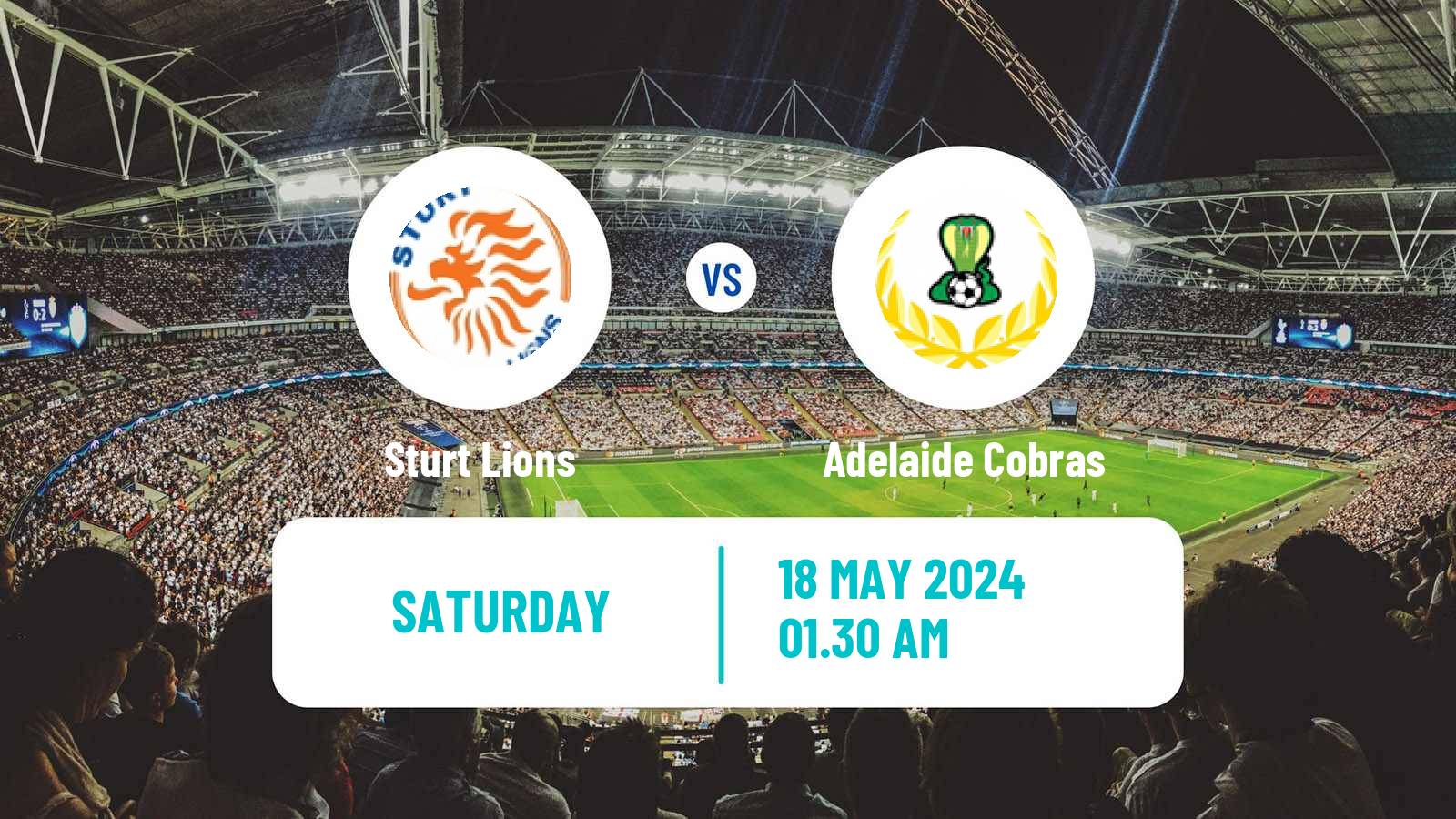 Soccer Australian SA State League Sturt Lions - Adelaide Cobras