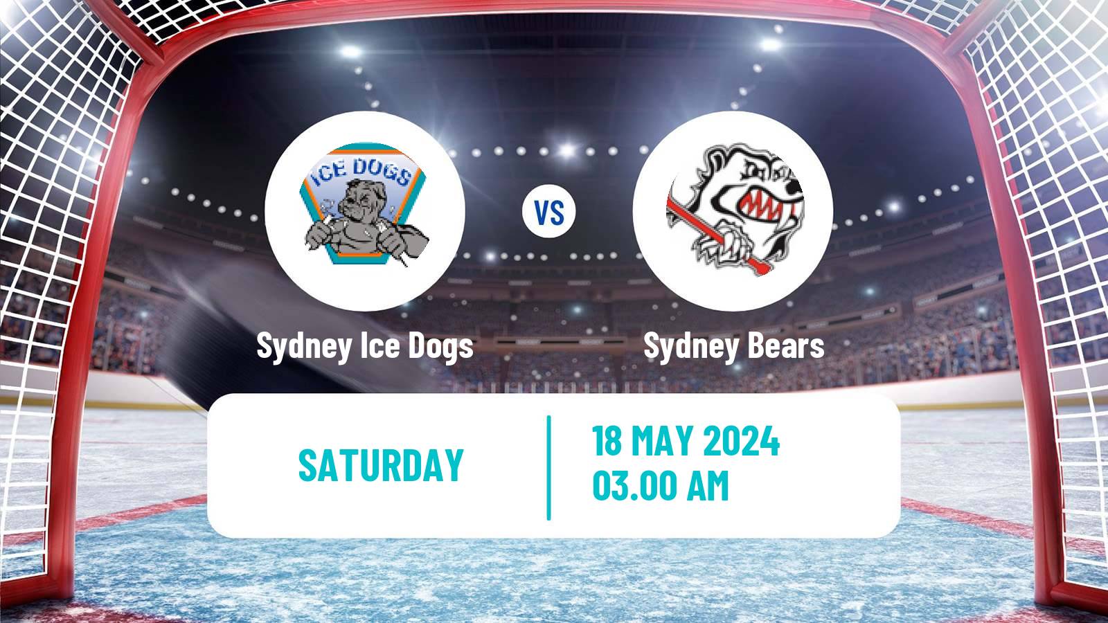 Hockey Australian Ice Hockey League Sydney Ice Dogs - Sydney Bears